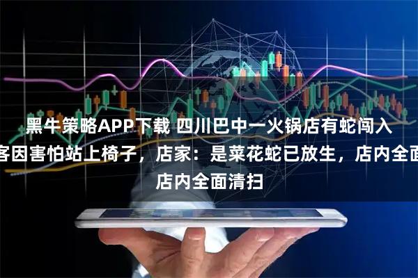 黑牛策略APP下载 四川巴中一火锅店有蛇闯入，食客因害怕站上椅子，店家：是菜花蛇已放生，店内全面清扫